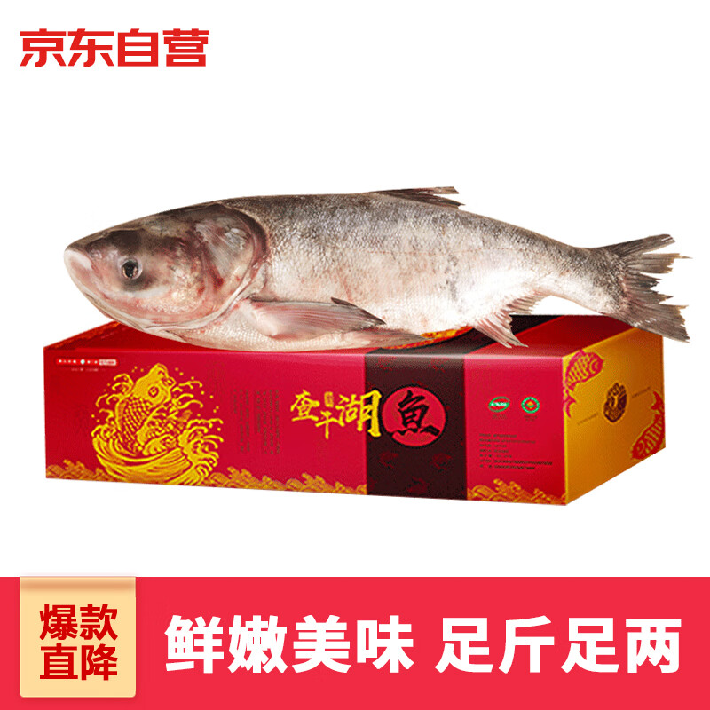 CHINGREE 查干湖 胖头鱼 4.25-4.5kg 礼盒装 221.33元（需买3件，共663.99元）