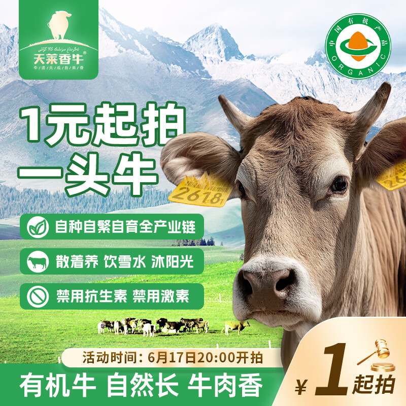 天莱香牛 新疆有机肉牛1头 牛胴体 440斤 源头直发 46500元