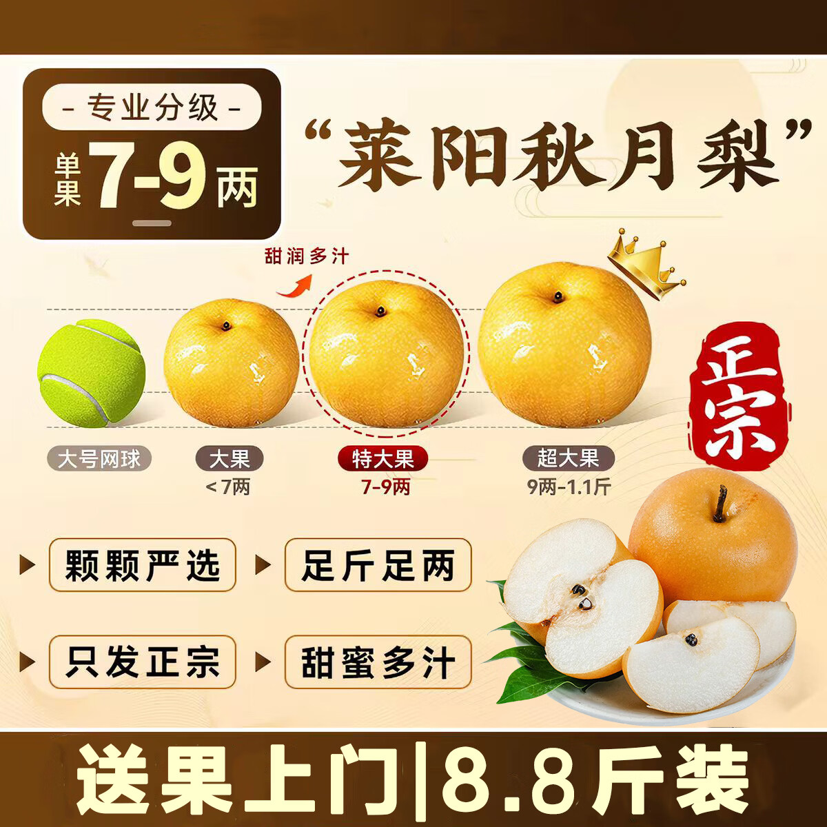 京觅 秋月梨 莱阳秋月梨 净重8.8斤 350g起 梨 水果礼盒团购源头直发 55.7元 - 线报酷