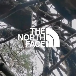 Saks：The North Face 时尚热卖 logo帽仅
