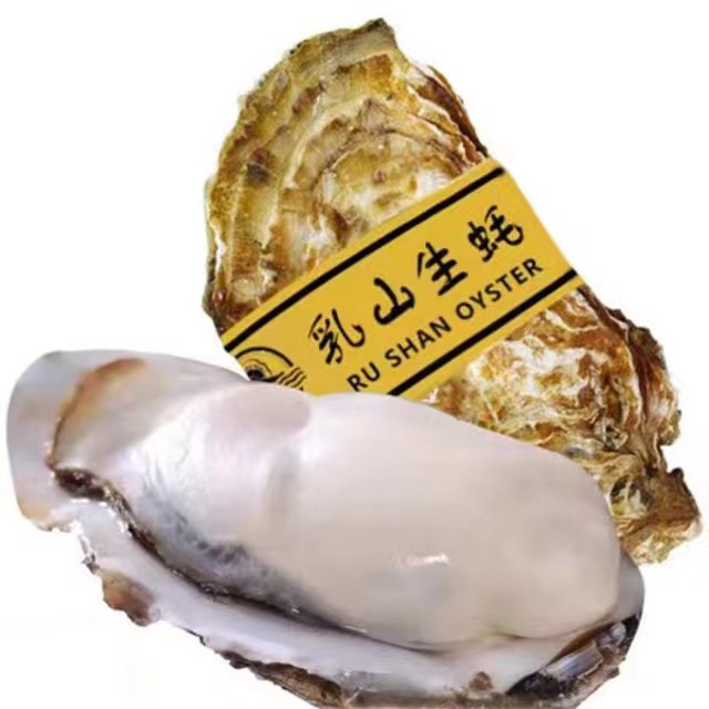 乳山生蚝 XXXL 鲜活 包肥 2.5斤（带官方溯源防伪标识） 28元（需买2件，需用