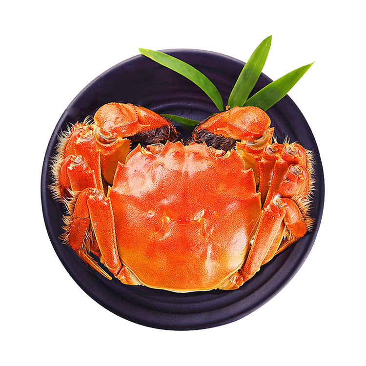 蟹叁钳庄 全母大闸蟹 活蟹 去绳足重3.0-3.3两 8只 礼盒装 168.34元（需用券）