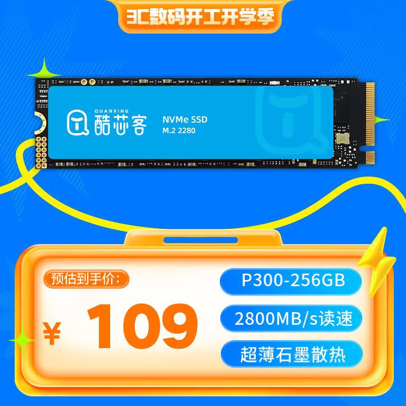 铨兴 P300 酷芯客 NVMe M.2固态硬盘 256GB（PCIe4.0 ￥99