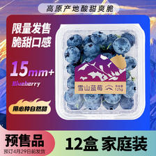 Mr.Seafood 京鲜生 云南蓝莓 12盒 约125g/盒 15mm+ 新鲜水果礼盒 源头直发 包邮 89.
