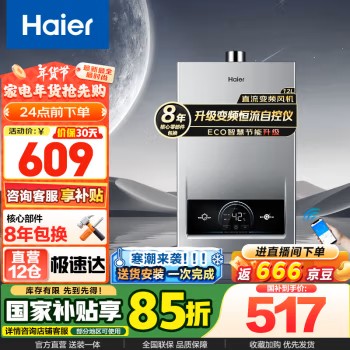 Haier 海尔 天然气热水器 水气双调变频恒温wifi智控强排式ECO节能40%MODEL 12L 一