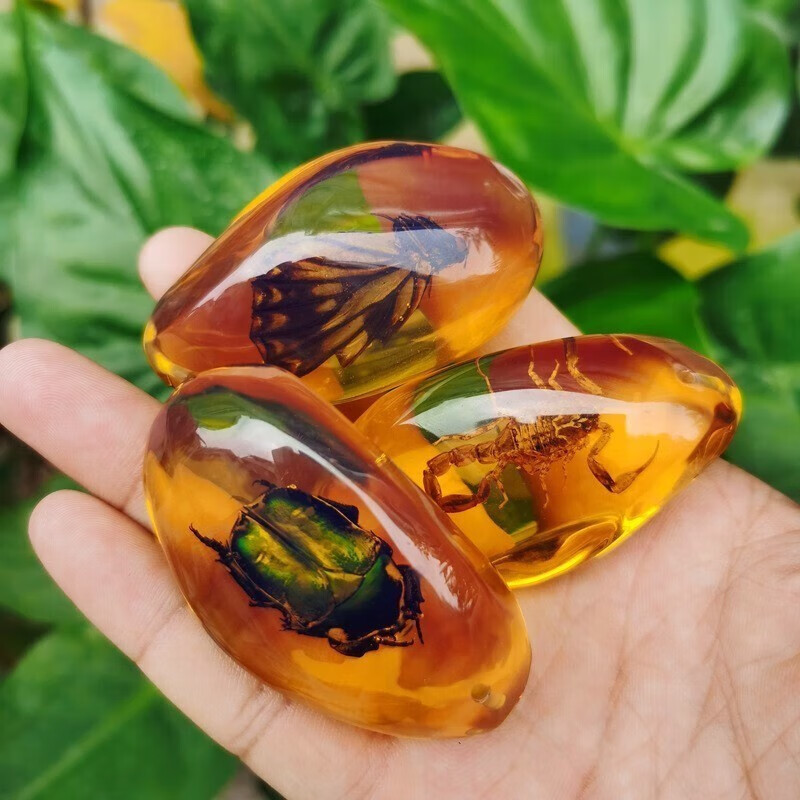 米芒 透明树脂真实昆虫标本 9.9元 - 86线报