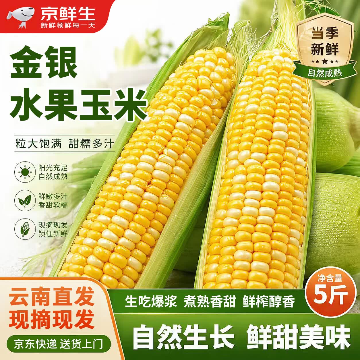 京鲜生 鲜甜 水果玉米 云南新鲜水果玉米5斤 18.99元