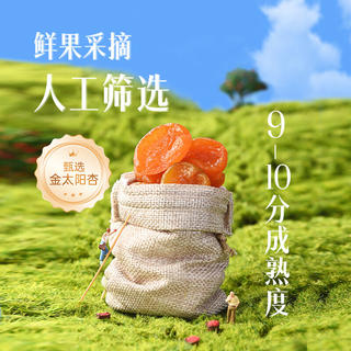 薛记炒货 红杏干 专区50款果干蜜饯 4.99元 - 86线报 薛记炒货 红杏干 专区50款果干蜜饯 4.99元 - 86线报