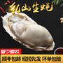 ￥36.9 乳山牡蛎鲜活生蚝新鲜即食大海蛎子带壳海鲜水产5斤顺丰包邮