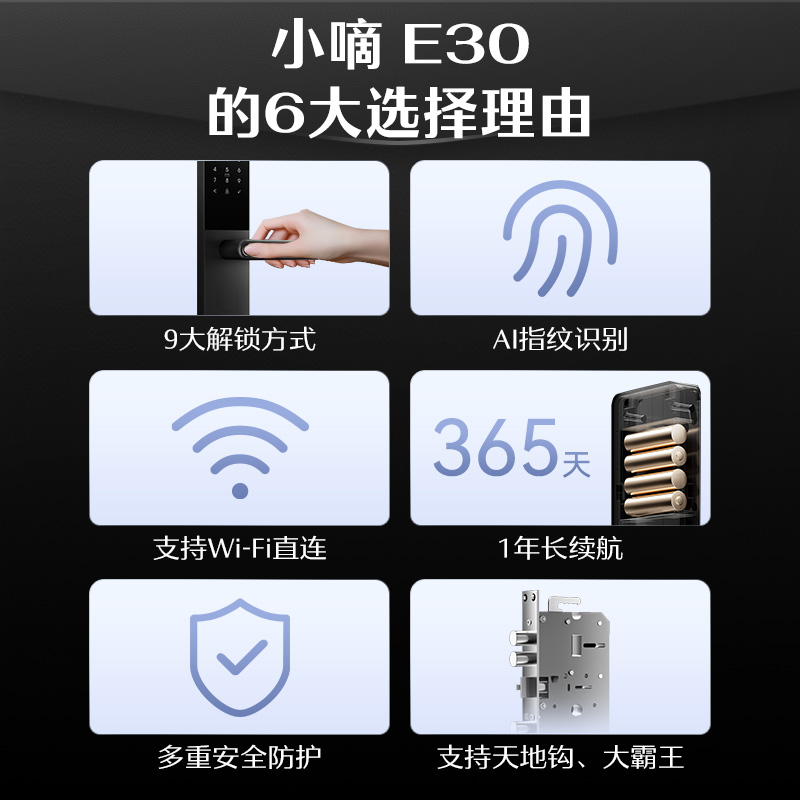 DESMAN 德施曼 DESSMANN 德施曼 E30 智能门锁 指纹锁 密码锁 E30典雅黑 649元
