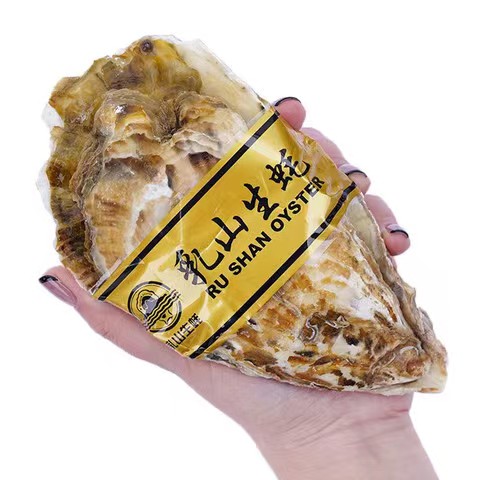 大号 乳山生蚝 4XL 鲜活 2.5斤 （带官方溯源防伪标识、死蚝包赔） 33元（需