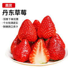 茜货 丹东99红颜奶油草莓水果生鲜大果3斤装 单果20-30g 源头直发 1.5kg 85元