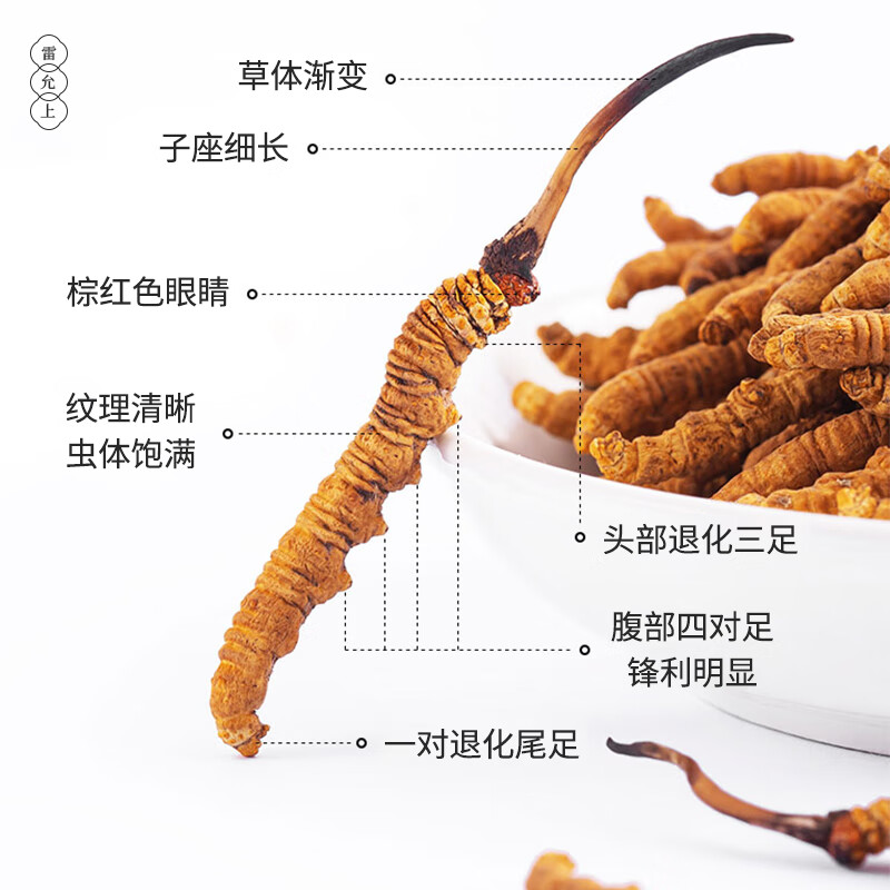 雷允上 冬虫夏草 西藏冻干虫草50/1g 虫体饱满 冻干虫草-50/1g 103.5元 - 线报酷