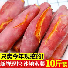树奢 板栗蜜薯 10斤 带箱