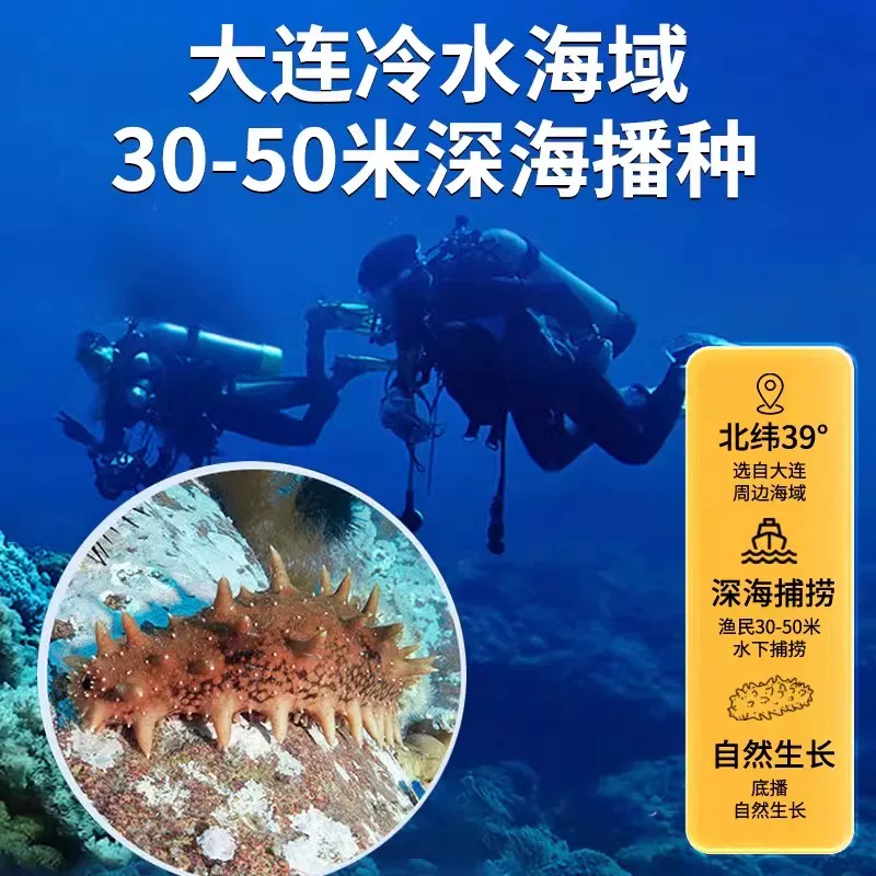 大连海参官方旗舰店即食独立包装袋辽参刺参海渗鲜活海鲜礼盒水产 125元 - 线报酷