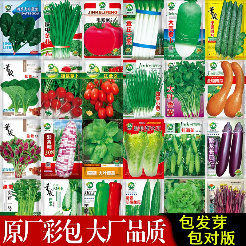 蔬菜菜园盆栽阳台香菜菠菜生菜萝卜蔬菜种籽 券后1.2元