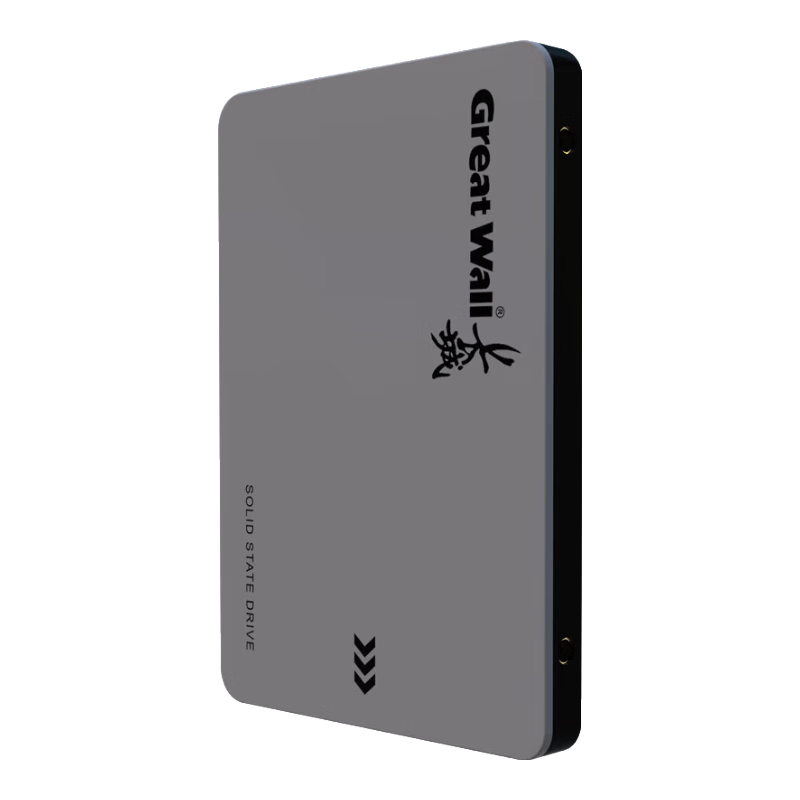 Great Wall 长城 256GB SSD固态硬盘 SATA3.0接口 读速540MB/S台式机/笔记本通用 GW560