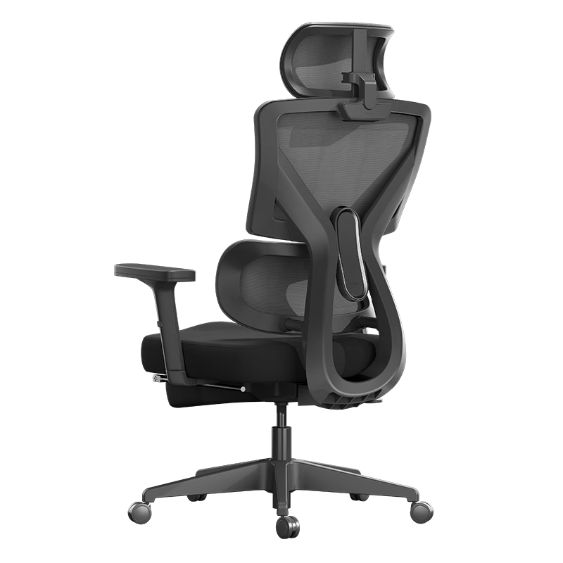 plus会员：黑白调P5双背款 人体工学椅电脑椅子 532.52元（使用居家卡492.52元