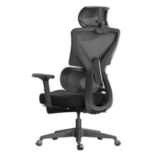 plus会员：黑白调P5双背款 人体工学椅电脑椅子 532.52元（使用居家卡492.52元