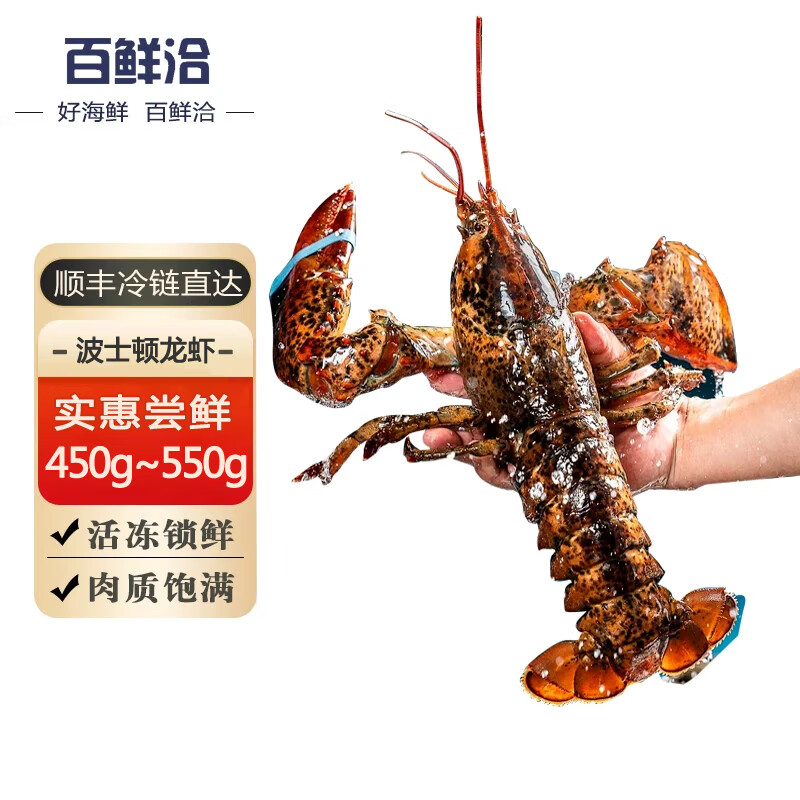 百鲜洽 特大龙虾波士顿龙虾1只装(600g-750g/只) 79.9元