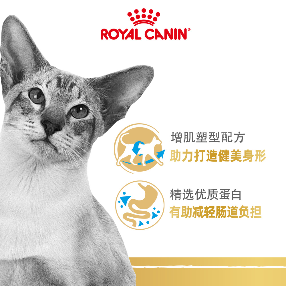 ROYAL CANIN 皇家 猫粮暹罗猫成猫粮斯芬克斯无毛猫孟加拉豹猫缅因品种全价主