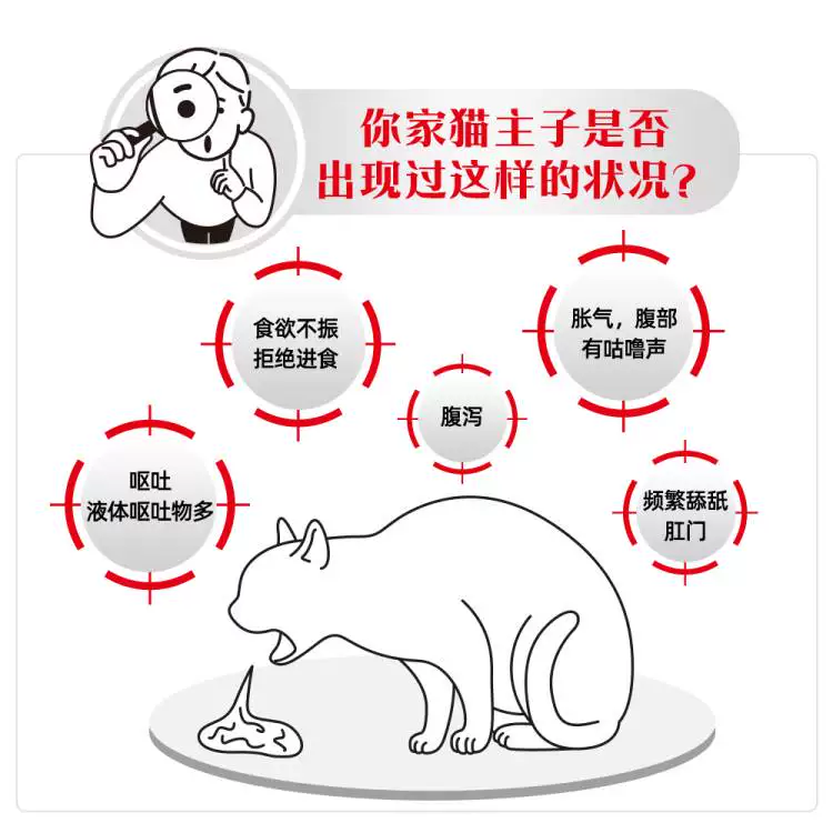 皇家 GI32肠道成猫猫咪干粮 606.1元 - 线报酷