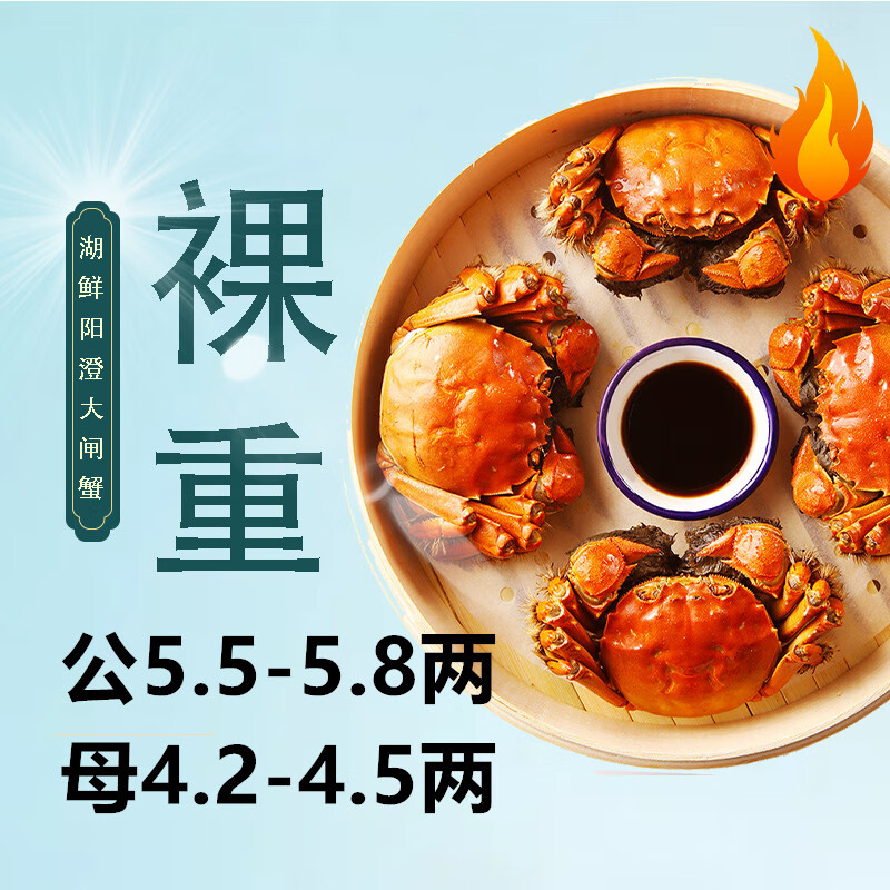 湖鲜阳澄 HUXIANYANGCHENG 大闸蟹 公5.5-5.8两母4.2-4.5两4对8只 鲜活特大螃蟹礼盒