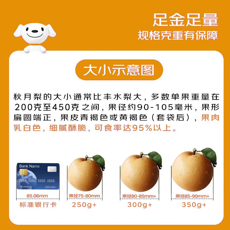 京鲜生 安徽砀山新玉冰糖梨 4.5斤装 单果250g+ 生鲜水果源头直发 16.9元 - 清风线报