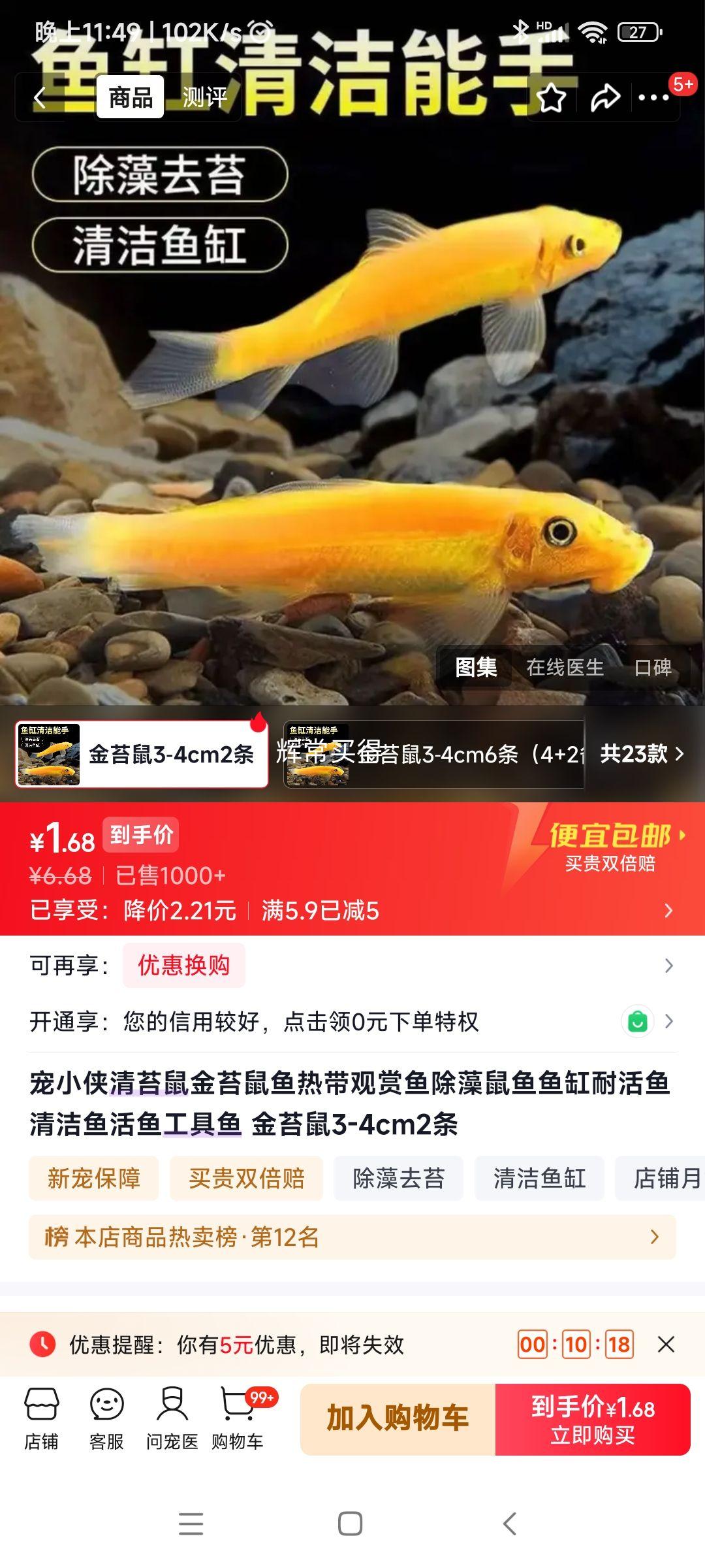 宠小侠 金苔鼠 热带观赏鱼 3-4cm×2条 1.68元 - 清风线报