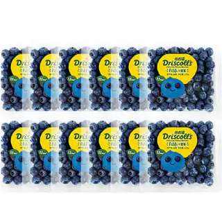 怡颗莓 当季云南蓝莓 蓝莓小果 125g*12盒 148.4元