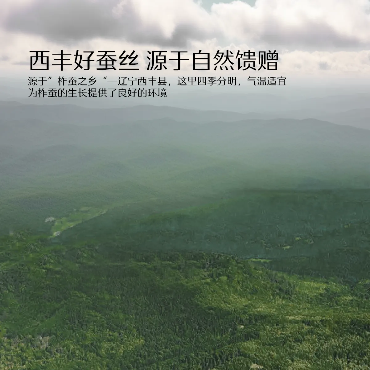 水星家纺 被子100%蚕丝被冬被加厚保暖子母被二合一儿童被芯春秋被 327.2元 - 线报酷