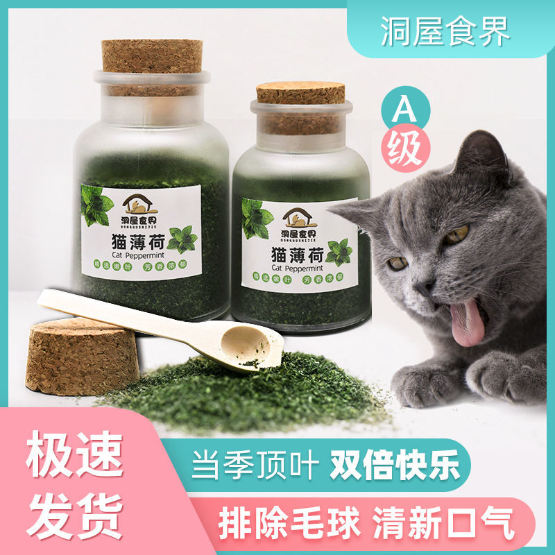 洞屋食界 粉末猫薄荷粉食品级茶包即食饼干猫咪原切整箱通用猫零食批发袋