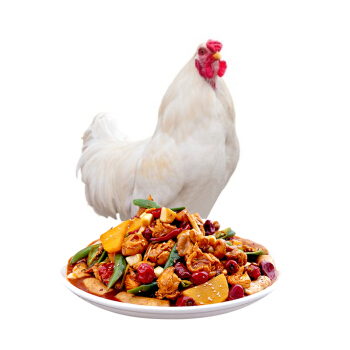 DOYOO 大用 散养白羽鸡整鸡 约700g/只生鲜鸡肉食材小笨鸡土鸡童子鸡 19.9元