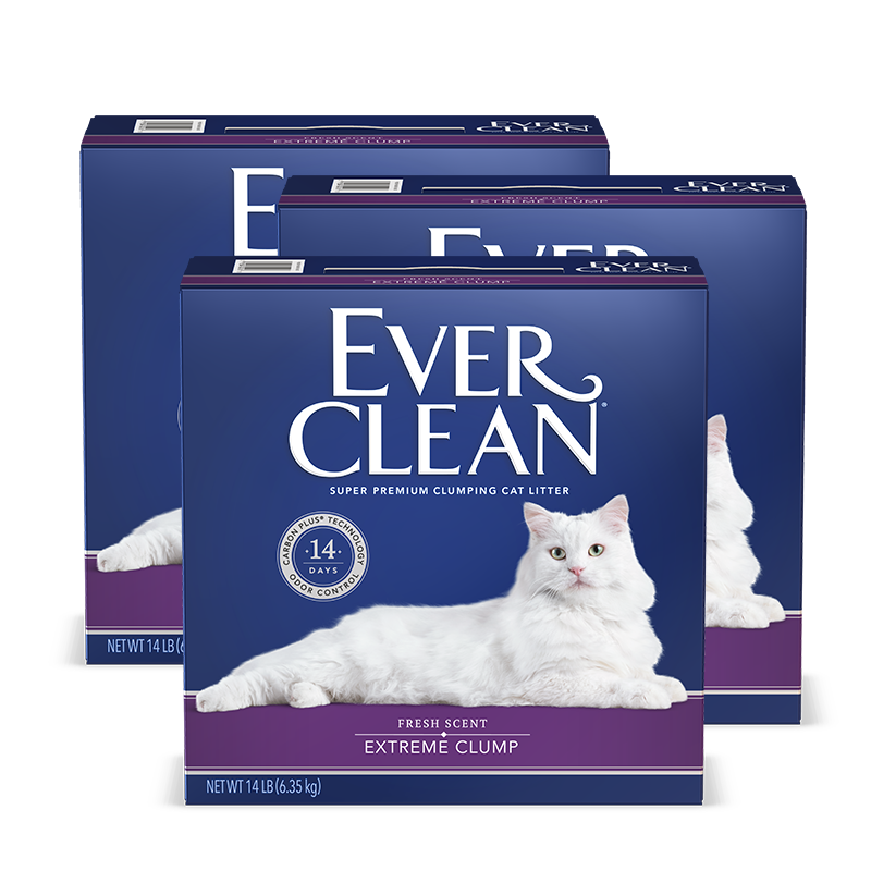 88VIP：EVER CLEAN 铂钻 EverClean铂钻美国进口猫砂紫标14磅*3盒膨润土除臭猫砂 140