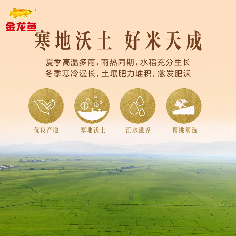 金龙鱼 寒地东北大米 5kg*4袋 77.71元 - 美泡泡