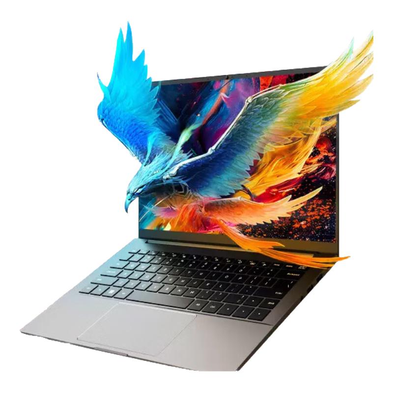 机械革命 无界14 Pro 2023款 十三代酷睿版 14英寸 轻薄本 （酷睿i5-13500H、16GB、