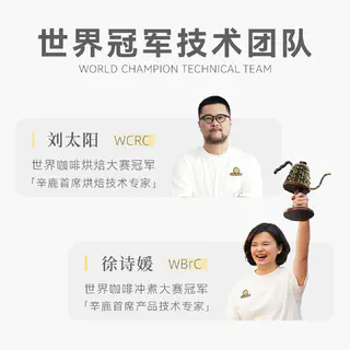 辛鹿咖啡 中烘焙 咖啡豆 500g/袋 45.5元 - 86线报 辛鹿咖啡 中烘焙 咖啡豆 500g/袋 45.5元 - 86线报