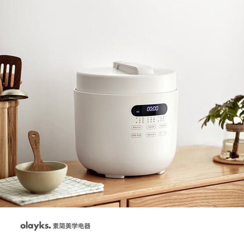 olayks 欧莱克 电压力锅 家用多功能高压快煮智能预约小压力锅 5L适用4-6人用