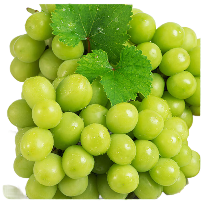 京鲜生阳光玫瑰+克伦森净重3斤组合装 葡萄/提子 水果礼盒源头直发 24.9元(