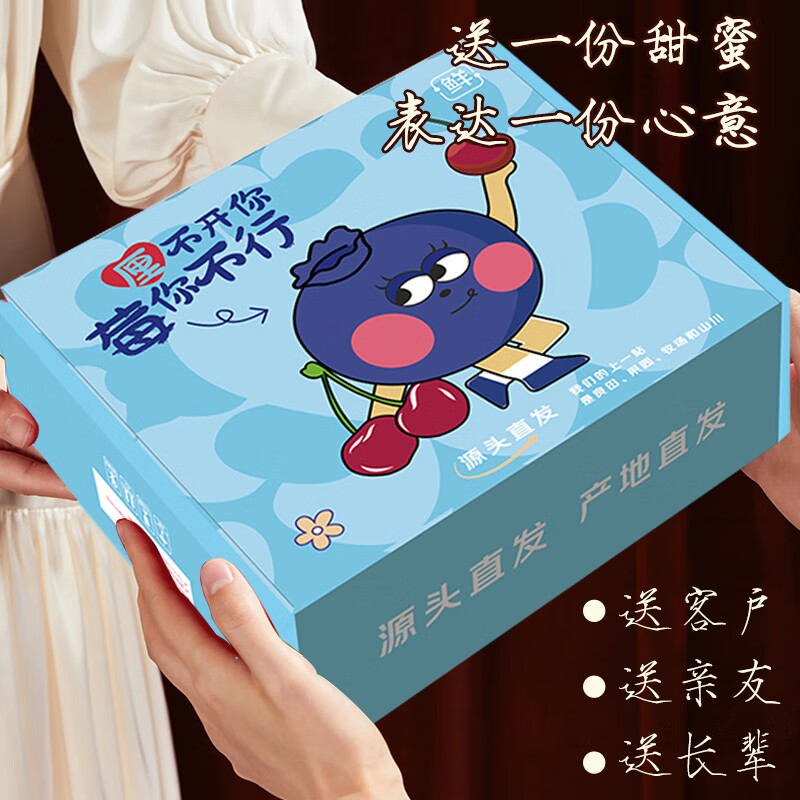 Mr.Seafood 京鲜生 云南蓝莓果径15mm起+J级车厘子 组合装500g 39.9元