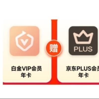 爱奇艺白金VIP会员年卡12个月+京东PLUS会员年卡 支持电视端 249元（需领券）