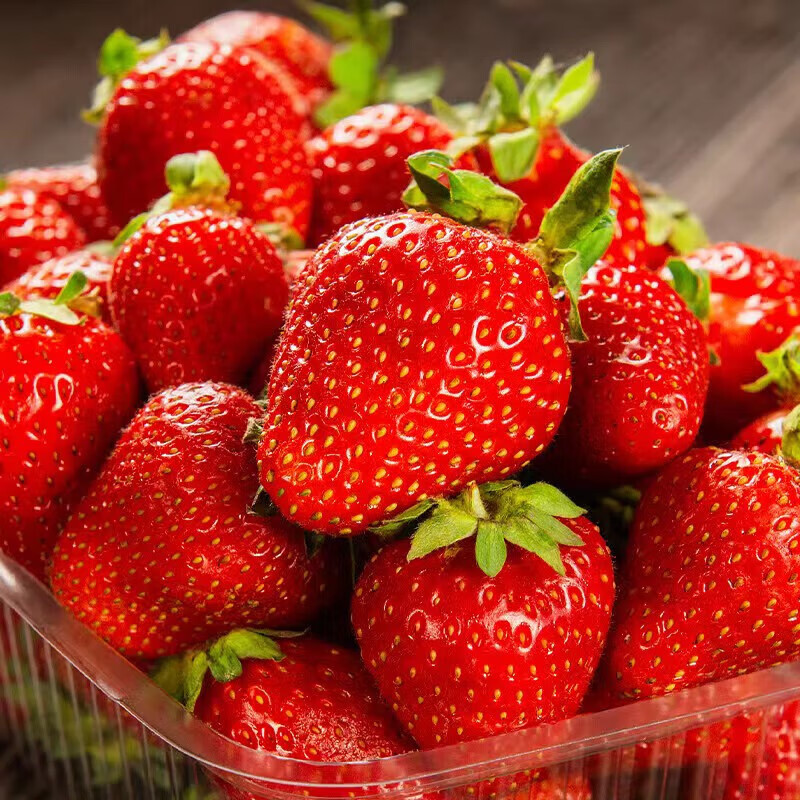 黄花地 大凉山奶油草莓 不支持多地址下单 红颜99草莓新鲜 新鲜 奶油草莓 2.
