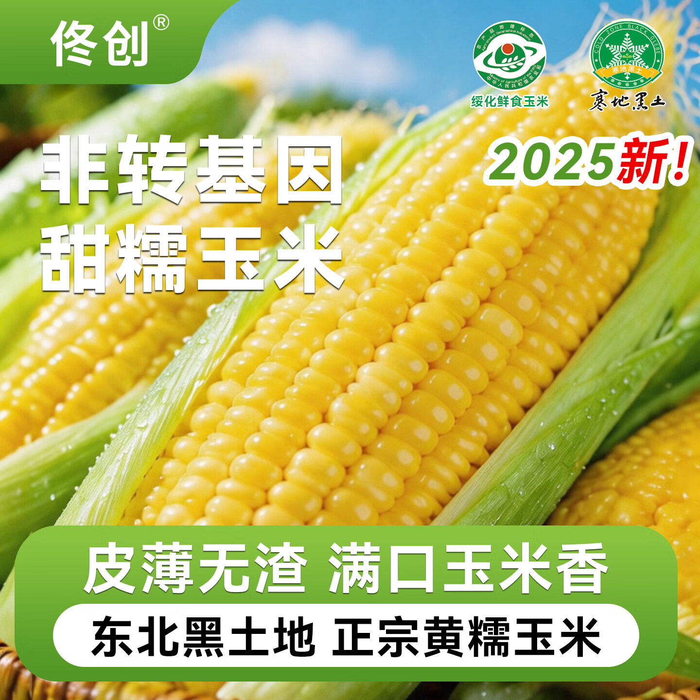 佟小满 东北黄糯玉米棒 整根黄糯玉米8棒 单根约180g