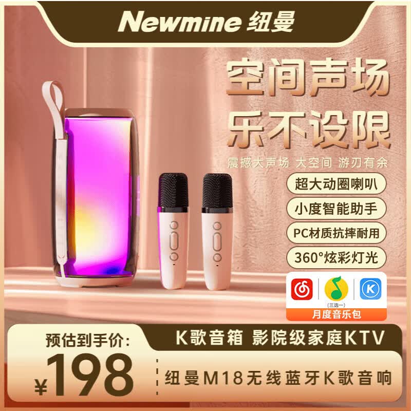 纽曼 自带声卡 无线蓝牙音响K歌麦克风套装+双话筒 169元