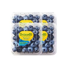 DRISCOLL'S/怡颗莓 云南蓝莓 中果 125g*6盒（14mm+） ￥79