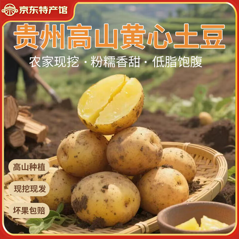 中国特产馆 播州鲜 黄皮黄心土豆 5斤净重（不含箱重） 4.9元