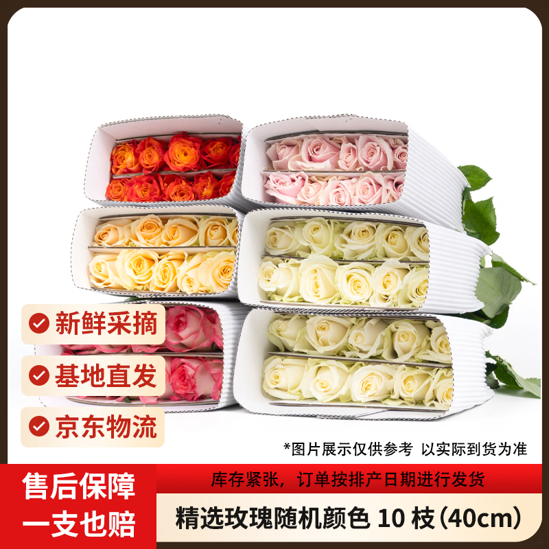 京东鲜花 精选玫瑰 随机色 10枝 40cm 9.89元 - 线报酷