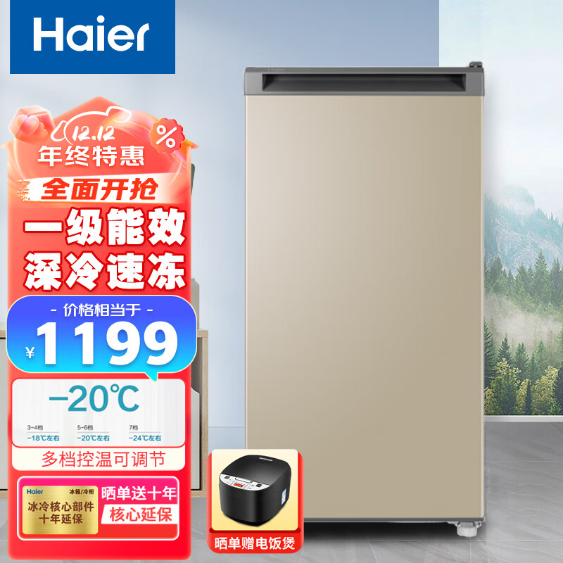 Haier 海尔 立式冰柜家用小型冷冻柜抽屉式一级节能低霜母乳储奶小冰柜BD-102