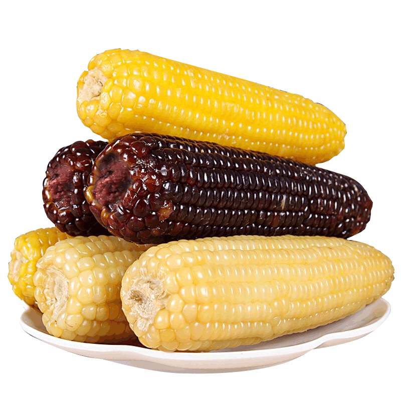 守望乡村 新鲜东北甜糯玉米 5黑5黄共10支 单支160-200g 12.9元(需领券)