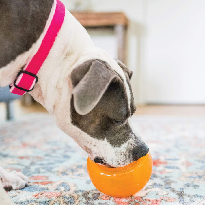 Outward Hound 漏食玩具 漏食器漏食球自嗨解闷 狗狗玩具 橙色 到手价¥68.23 - 线报酷